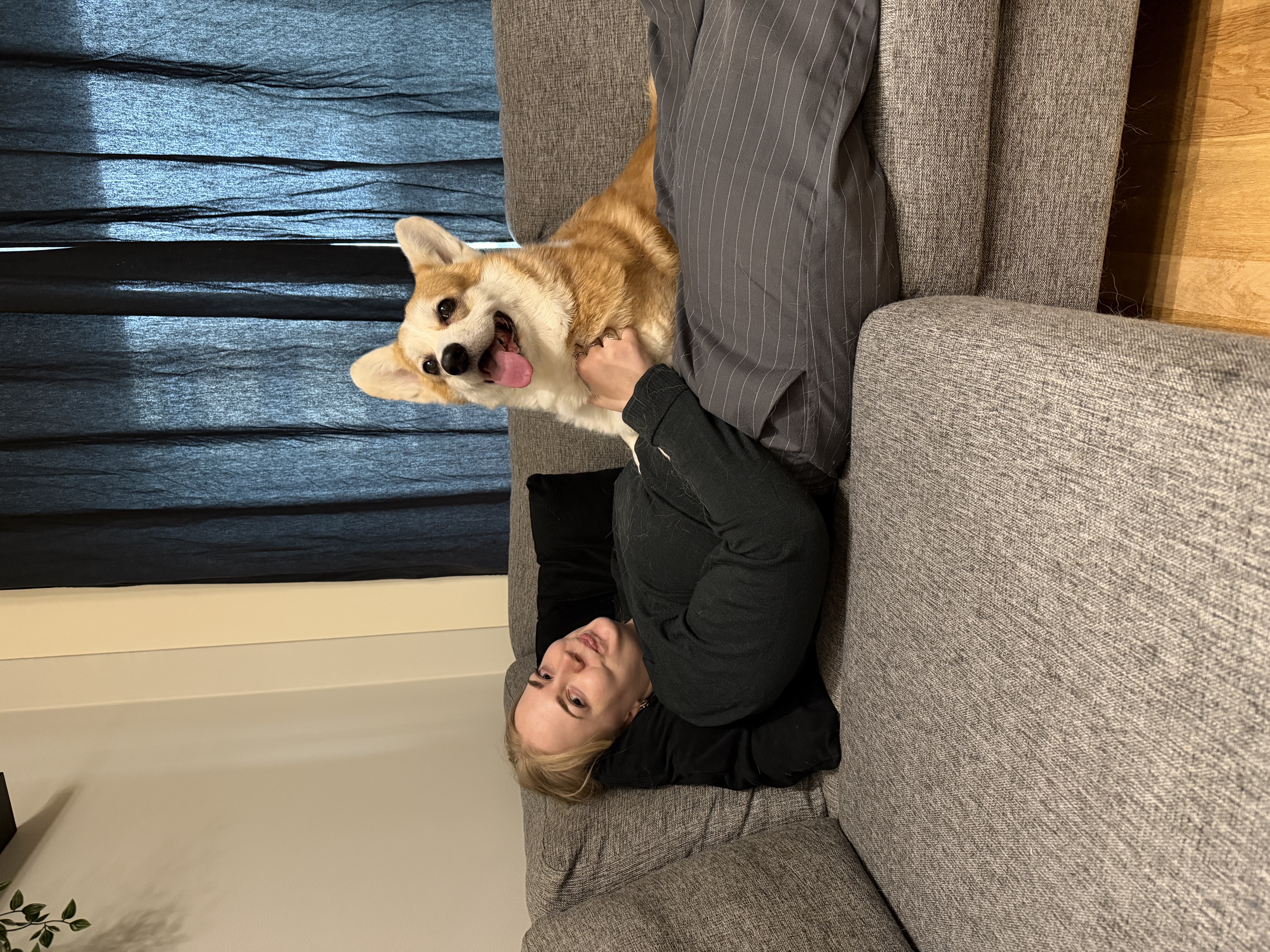 Bumi kos!